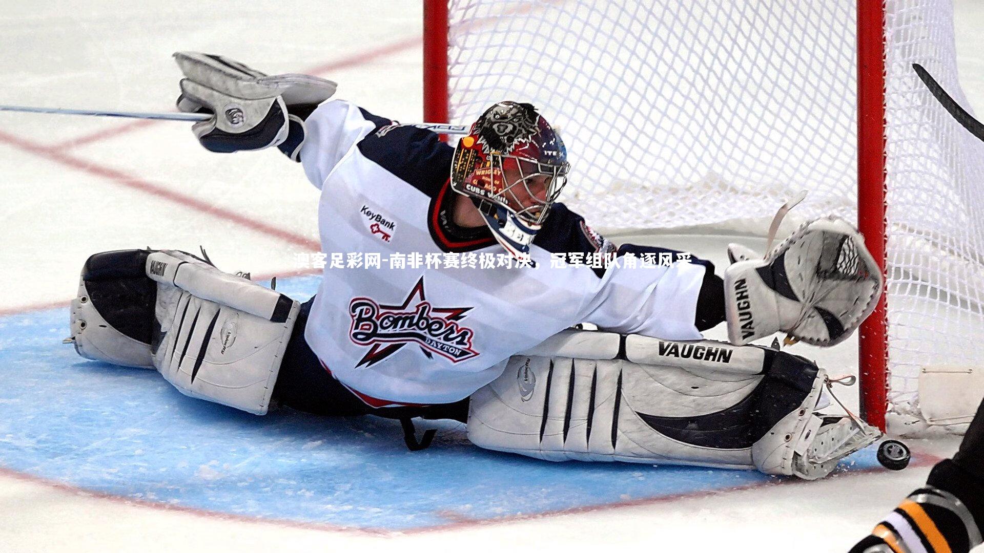 澳客足彩网-南非杯赛终极对决，冠军组队角逐风采