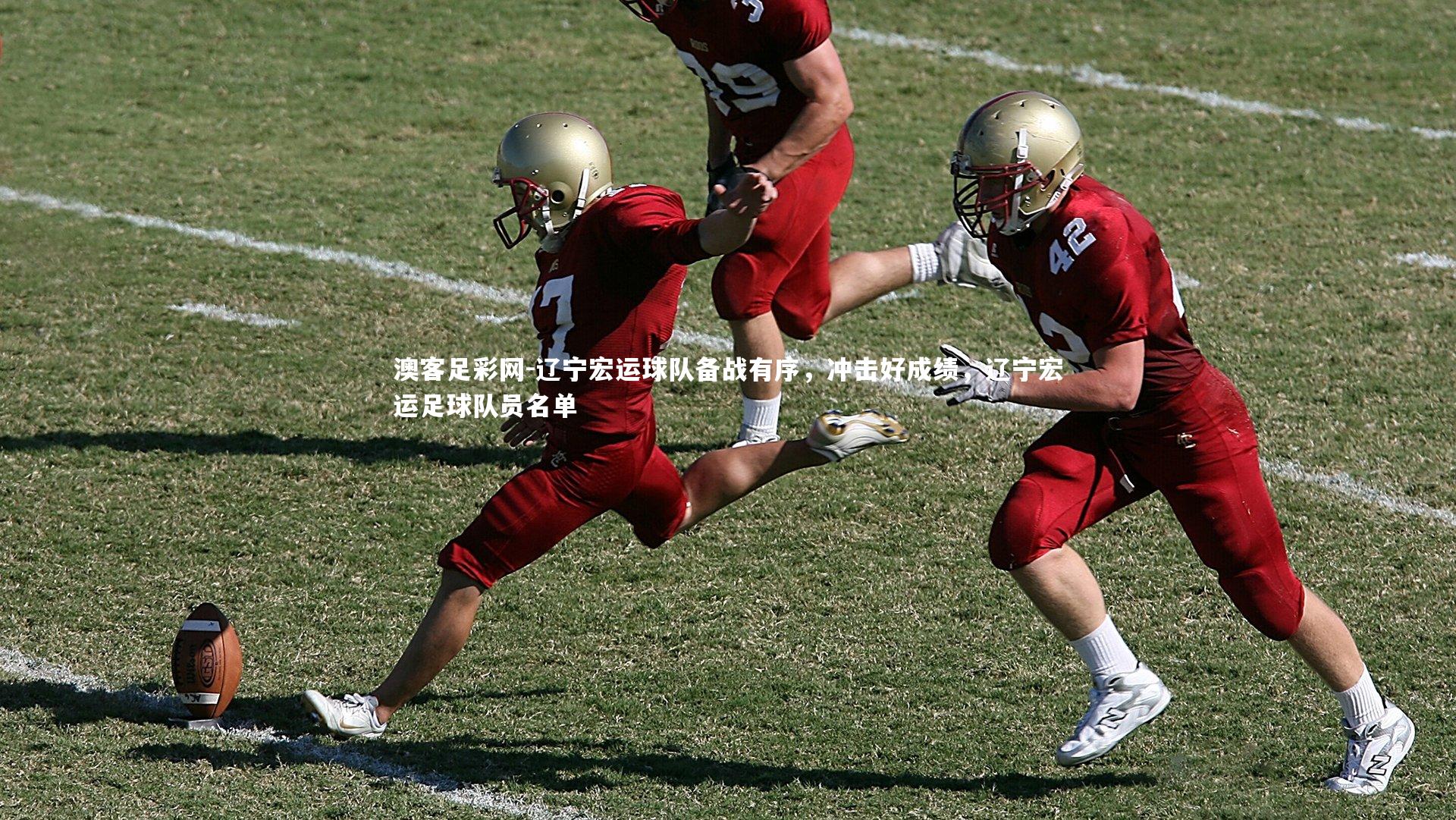 辽宁宏运球队备战有序，冲击好成绩，辽宁宏运足球队员名单