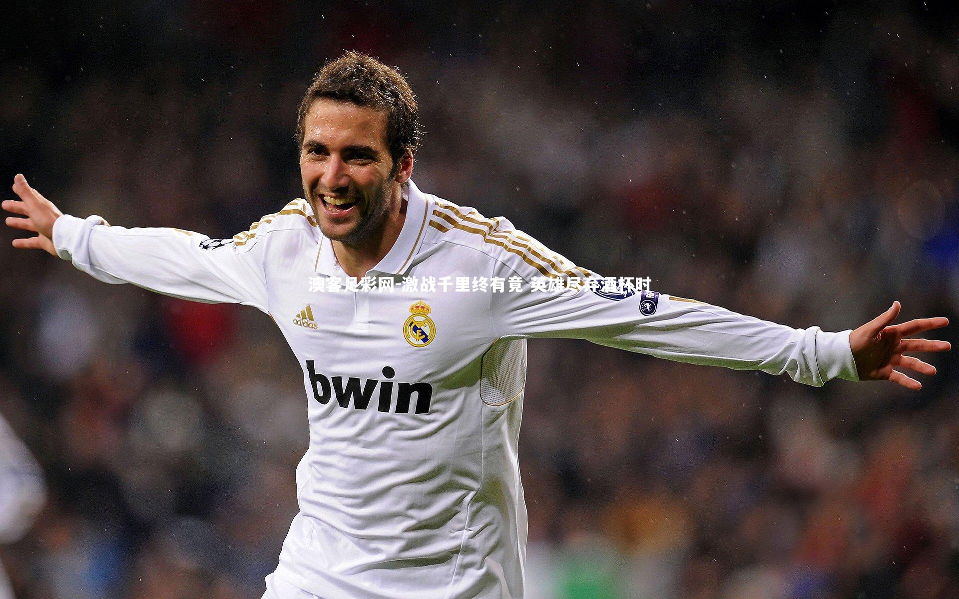 激战千里终有竟 英雄尽弃酒杯时